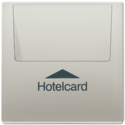Накладка карточного выключателя Jung LS серия &quot;HOTELCARD&quot; ES2990CARD