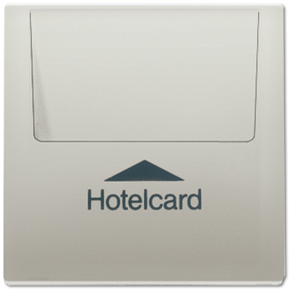 Накладка карточного выключателя Jung LS серия &quot;HOTELCARD&quot; ES2990CARD