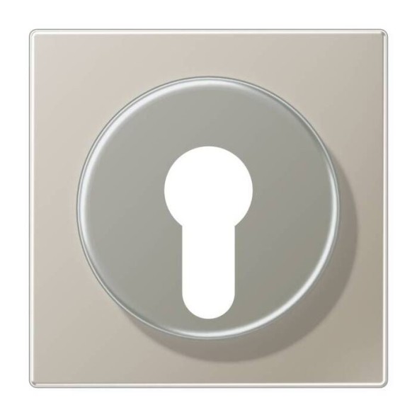 Крышка Jung LS серия сталь для выключателя с замком ES2928