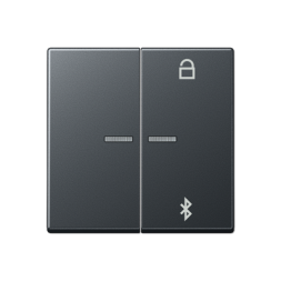 Таймер универсальный Jung A серия матовый антрацит Bluetooth A1751BFBTANM