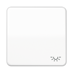 Клавиша Jung CD серия белая для 1-я с символом &quot;ОСВЕЩЕНИЕ&quot; CD590BFLWW