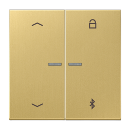 Таймер Jung LS серия Латунь классик универсальный Bluetooth «стрелки» ME1751PBTC