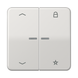 Центральная плата Jung CD серия светло-серый универсальная «стрелки» CD1701PLG