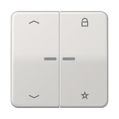 Центральная плата Jung CD серия светло-серый универсальная «стрелки» CD1701PLG