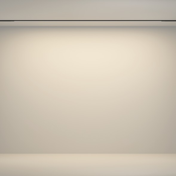 Трековый светильник Technical TR180-1-24WTW-B