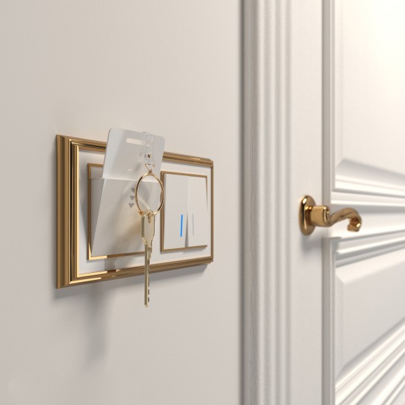 Электронный карточный выключатель (белый) Werkel W1153101