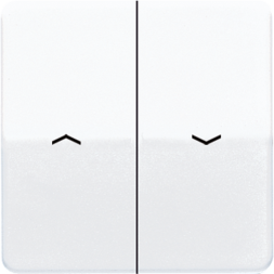 Клавиша Jung CD серия Белый 2-я жалюзийная CD595PWW