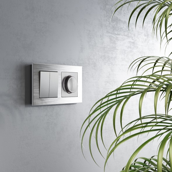 Перекрестный переключатель двухклавишный серебряный Werkel W1123008