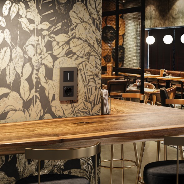 Рамка из поликарбоната на 2 поста Slab бронза софт Werkel W0022963