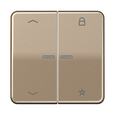 Центральная плата Jung CD серия бронза универсальная «стрелки» CD1701PGB