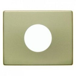 Центральная панель Berker R.1 Berker Arsys золотой металл для нажимной кнопки и светового сигнала Е10 11650102