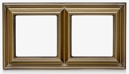 Рамка Jung ECO Profi Deco шампань 2 поста EPD482CH
