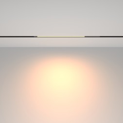 Трековый светильник Technical TR231-2-10W3K-B