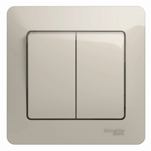 2-клавишный Выключатель,сх.5,10AX, в сборе Schneider Electric Glossa Молочный GSL000952