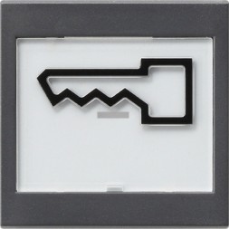 Клавиша Gira Антрацит с полем для надписи 37*47 мм и символом &quot;дверь&quot; 021828