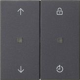 Накладка управления Gira Антрацит Memory 536328