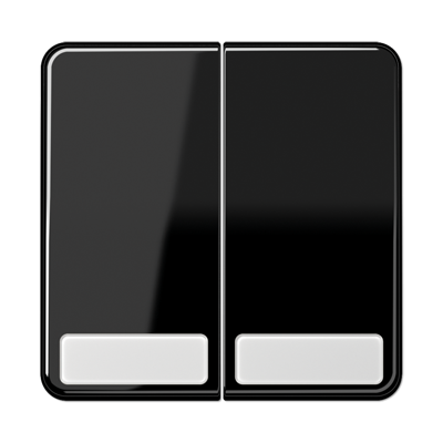 Клавиша Jung CD серия Черная 2-я с полем для надписи CD595NASW