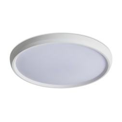Потолочный светильник Freya FR6211CL-L24W
