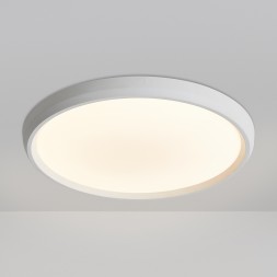 Потолочный светильник Freya FR6211CL-L24W