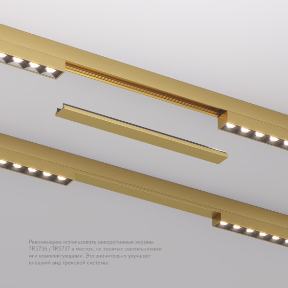 Декоративная заглушка желоба трека SHINE BASE TR5736-SB