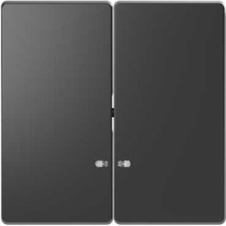 Клавиша Merten D-Life антрацит 2-ная с линзой для led модуля MTN3420-6034