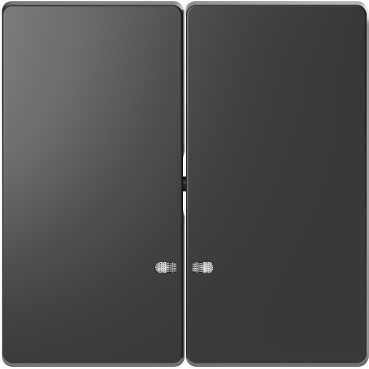 Клавиша Merten D-Life антрацит 2-ная с линзой для led модуля MTN3420-6034