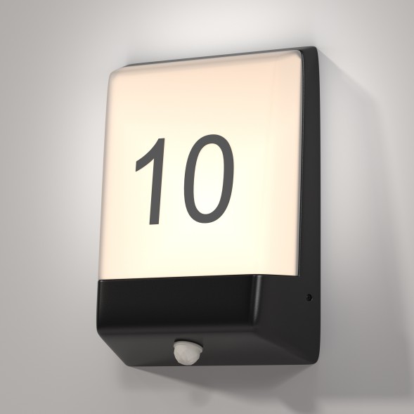 Уличный настенный светильник Outdoor O448WL-L9GF3KSR