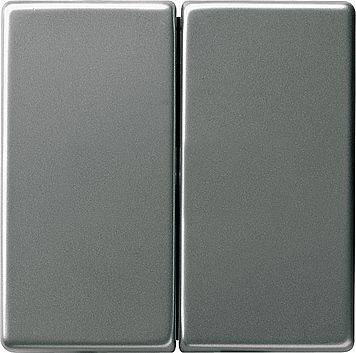 Клавиша Gira E22 Сталь двойная 029520