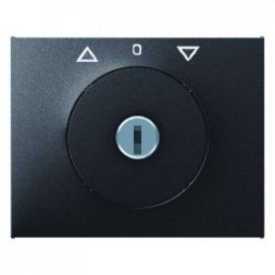 Центральная панель Berker R.1 Berker K.1 антрацит матовый с замком к жалюзийному замочному выключателю 10797206