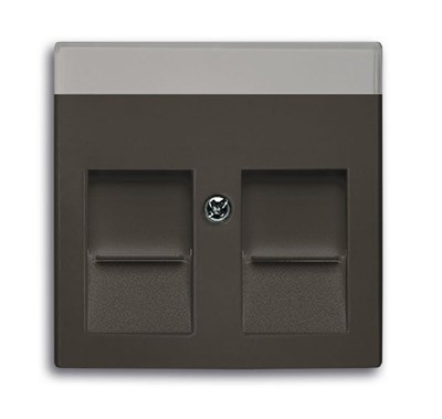 Плата центральная (накладка) ABB Basic 55 chateau-black для коммуникационных розеток с суппортами 1810 1812 1814 1816 1818 1819 и 1820 с полем для надписи 2CKA001710A3942 1800-95-507