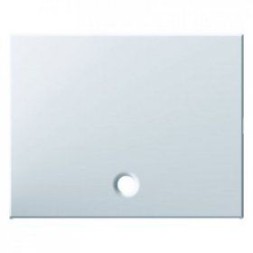 Центральная панель Berker R.1 Berker K.1 полярная белизна с блеском для выключателей/кнопок со шнурковым приводом 11477009