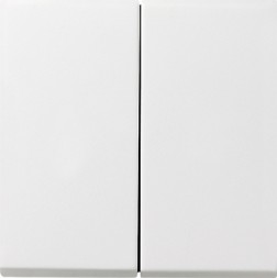 Клавиша Gira F100 Белый двойная 0295112