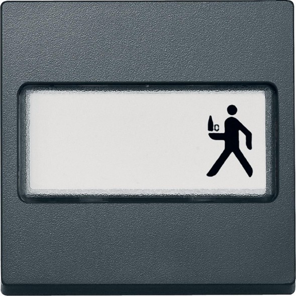 Клавиша Merten M-серия антрацит 1-я, с полем для надписи, SYSTEM M MTN433314