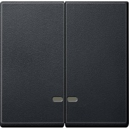 Две клавиши Merten M-серия антрацит с окошком для световой индикатор MTN3420-0414