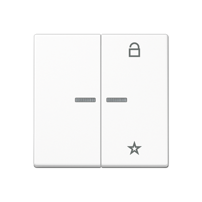 Центральная плата Jung A серия белоснежный матовый универсальная для LB вставки «жалюзи» A1701BFWWM