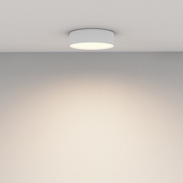 Потолочный светильник Technical C032CL-24W3K-RD-W