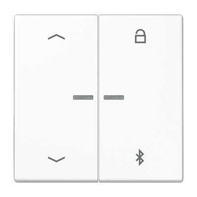 Таймер Jung LS серия белый универсальный Bluetooth «стрелки» LS1751PBTWW