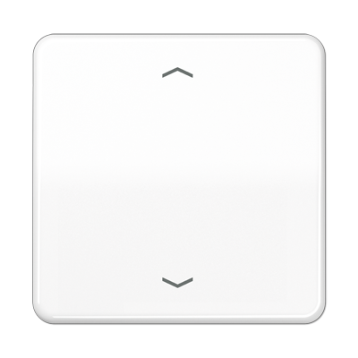 Центральная плата Jung CD серия белый стандарт «стрелки» для LB вставки «жалюзи» CD1700PWW