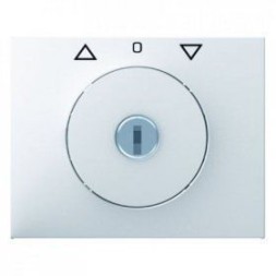 Центральная панель Berker R.1 Berker K.1 полярная белизна с блеском с замком к жалюзийному замочному выключателю 10797109