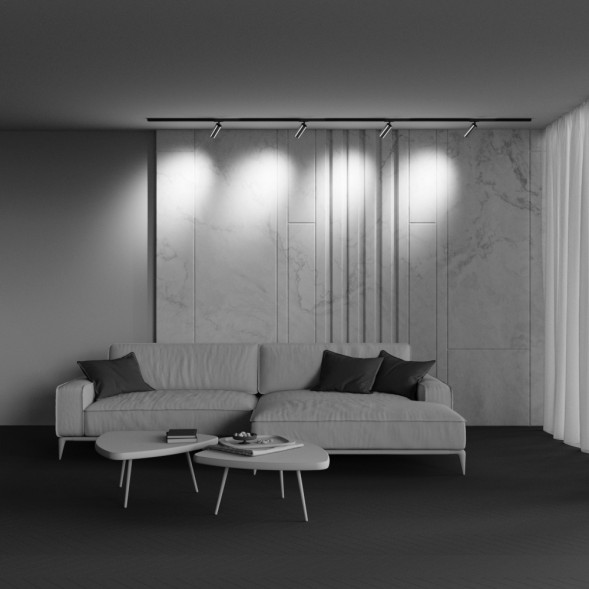 Трековый светильник Technical TR021-1-12W4K-W-BBS