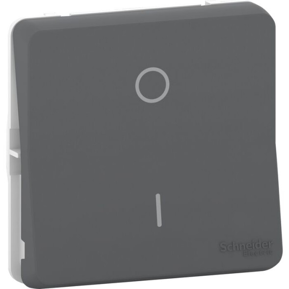 Переключатель 1-клавишный Schneider Electric MUREVA STYL, скрытый монтаж, антрацит, MUR35034 Schneider Electric MUR36034