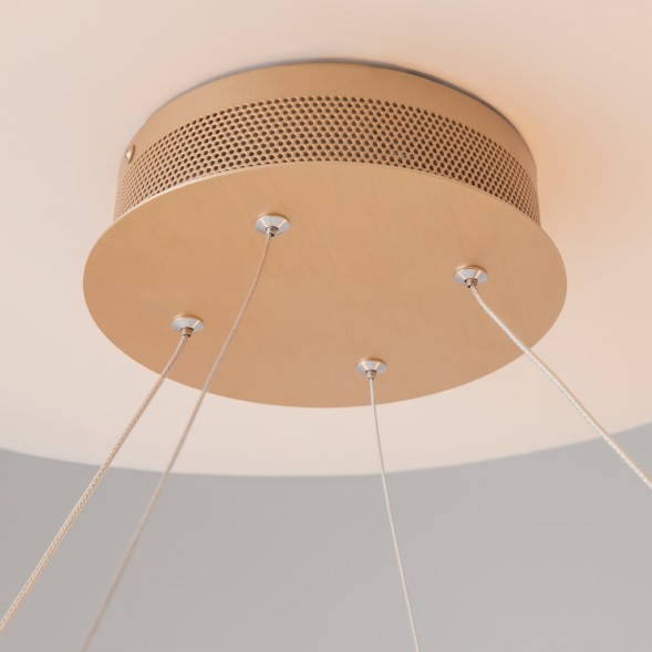 Подвесной светильник Maytoni MOD017PL-L50MG