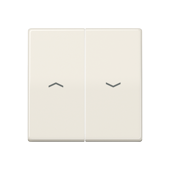 Клавиша Jung AS 500 Бежевая антибактериальная 2-я жалюзийная ABAS591-5P