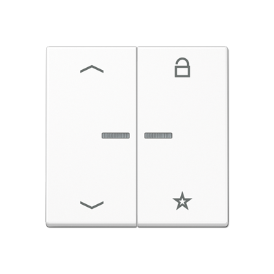 Центральная плата Jung A серия белая универсальная «стрелки» для LB вставки «жалюзи» A1701BFPWW