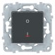 Выключатель Schneider Electric Unica Studio Антрацит двухполюсный, 1-кл., с индик., сх.2а, 16 AX, 250В NU526254S