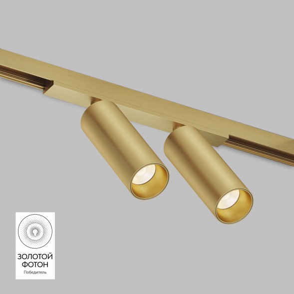 Светильник для трека SHINE SPOT DK5742-SB