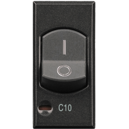 Двухполюсный термомагнитный выключатель Bticino Axolute Антрацит с индикатором защиты 1 полюса, 10 А HS4301/10