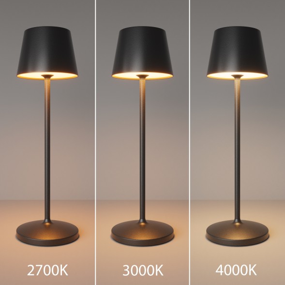 Аккумуляторный светильник Maytoni MOD494RL-L1BK