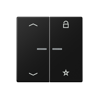 Центральная плата Jung A серия матовый чёрный графит универсальная «стрелки» для LB вставки «жалюзи» A1701BFPSWM
