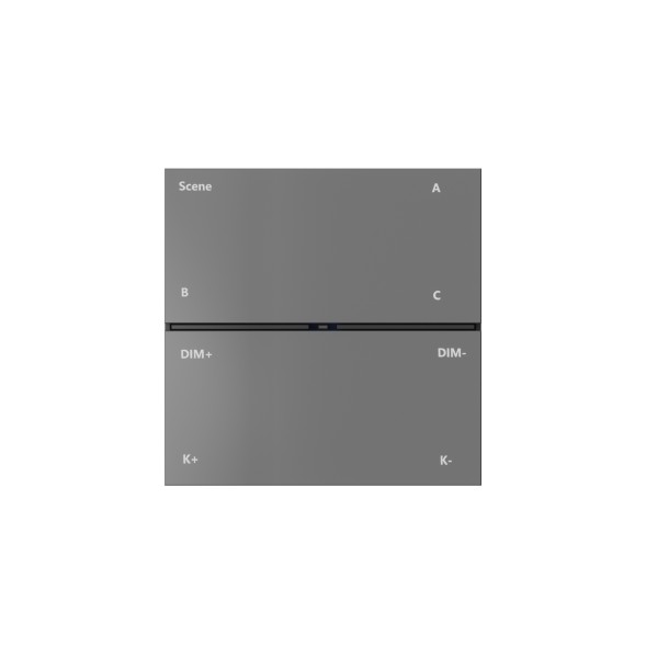 Накладная настенная панель управления CONTROL BT DK7201-DG